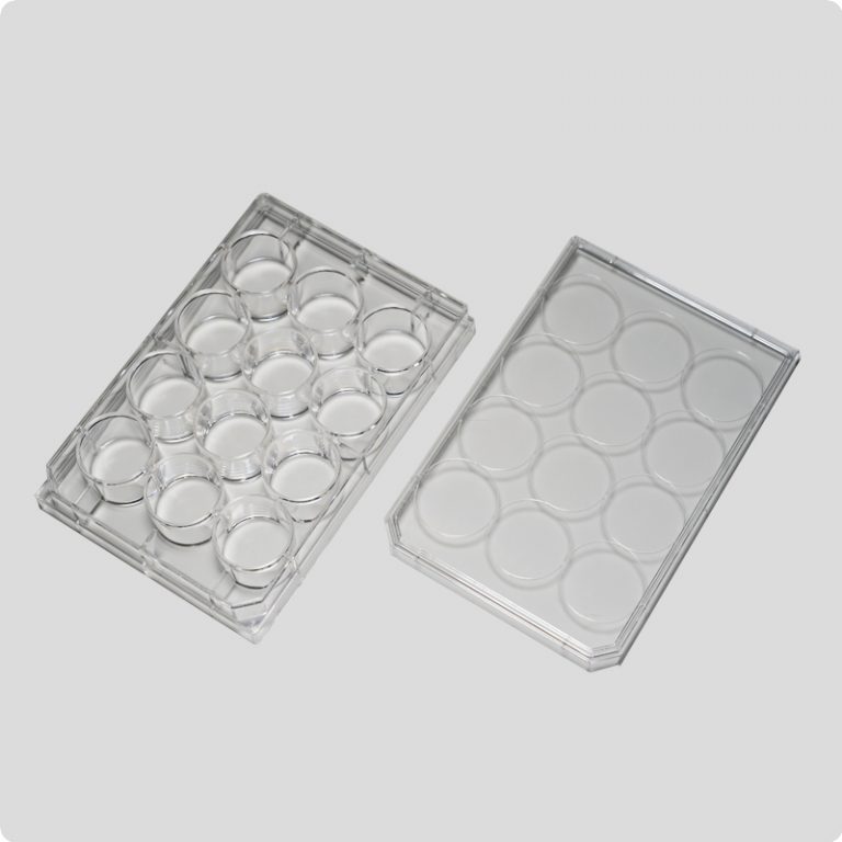 12-well-plate