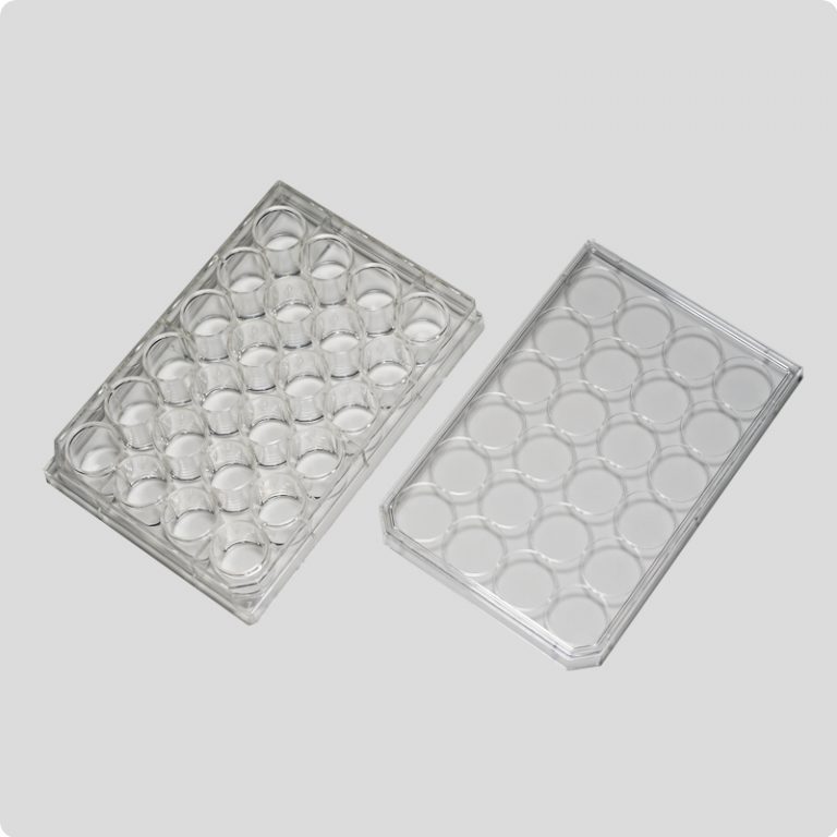24-well-plate