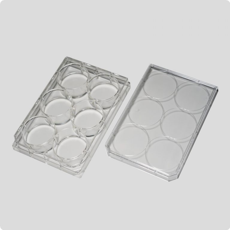 6-well-plate
